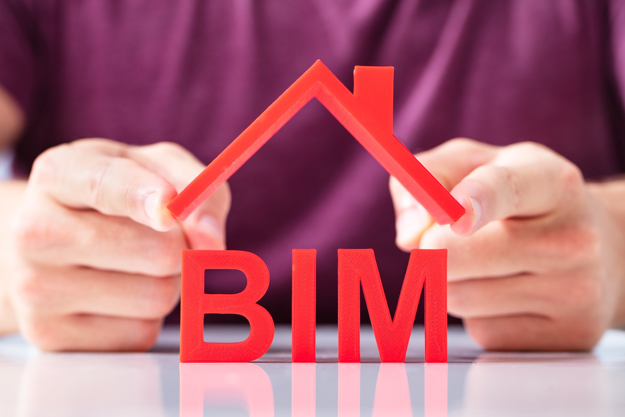 Person Holding Roof Over BIM Text